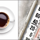 Illustration for article titled Halo Burger's temperature-priced coffee makes Michigan winters more bearable